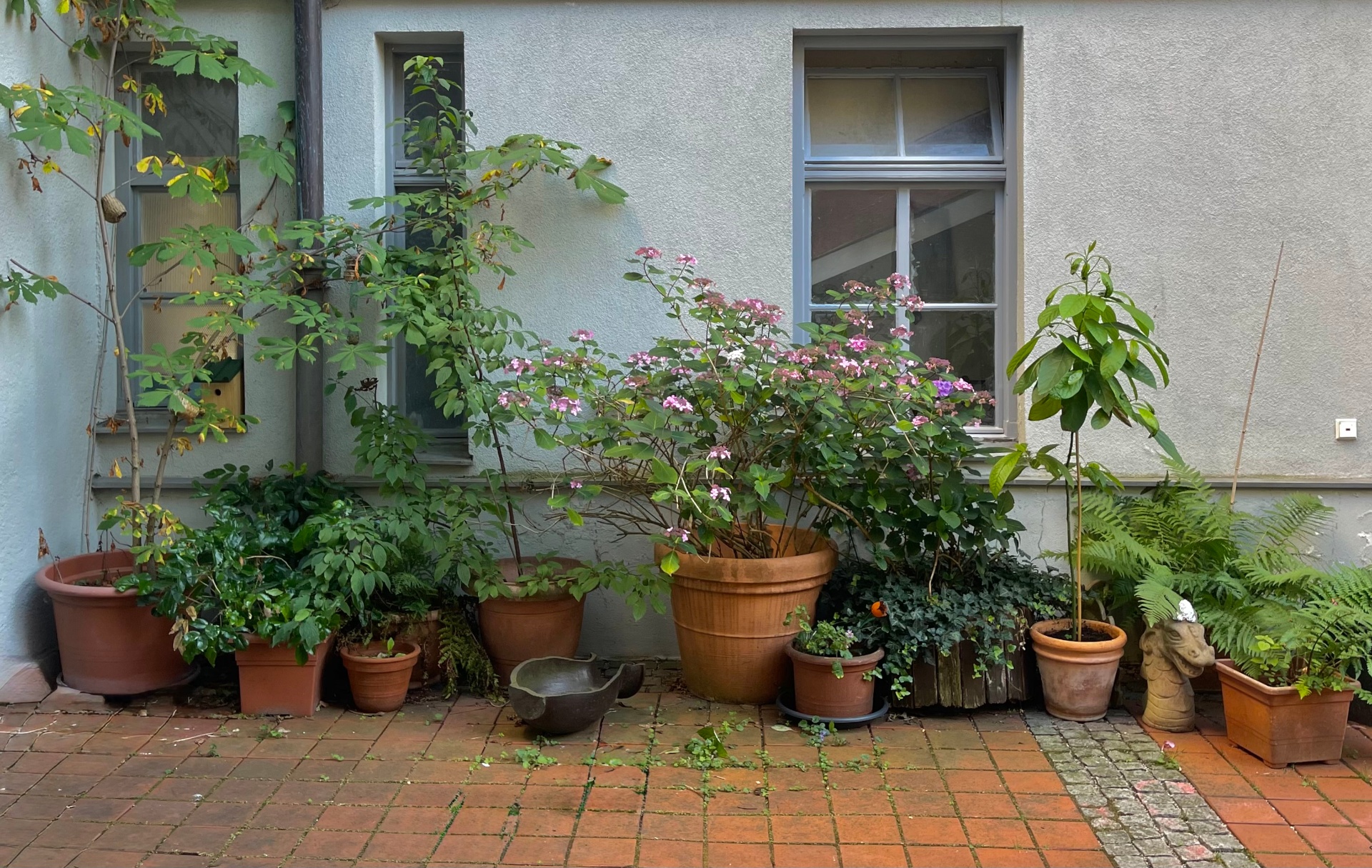 Begrünter Hinterhof mit Pflanzen vor dem Loft